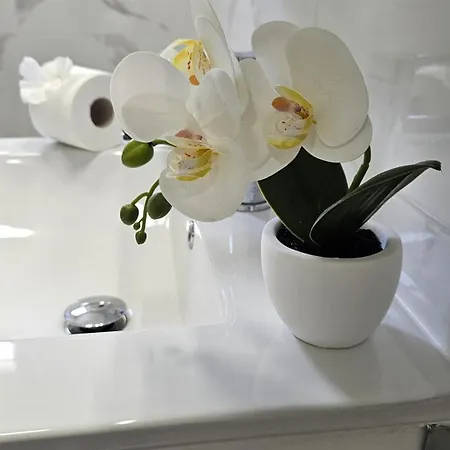 Reel Apartments- Luxury With Swimming Pool. Apartmán *